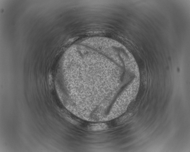 X0000067460087200605051633