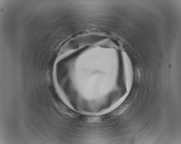 X0000067460088200605051633