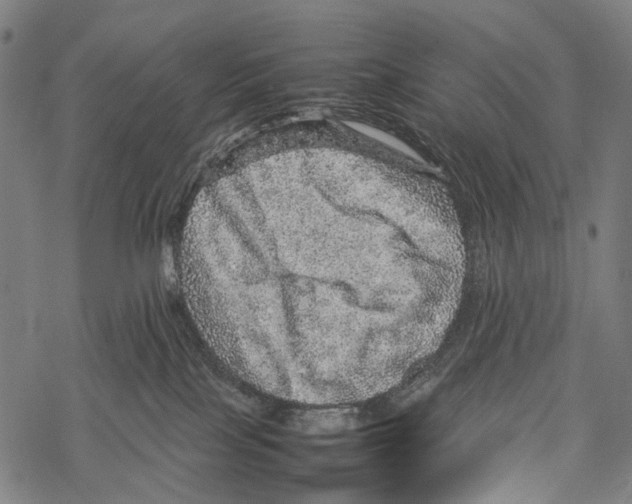 X0000067460089200605051633