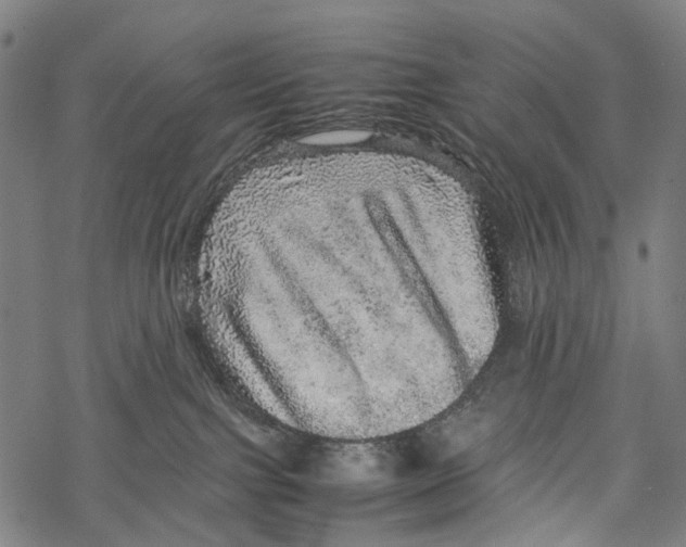 X0000067460091200605051633