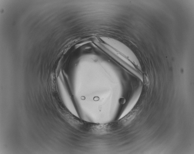 X0000067460092200605051633