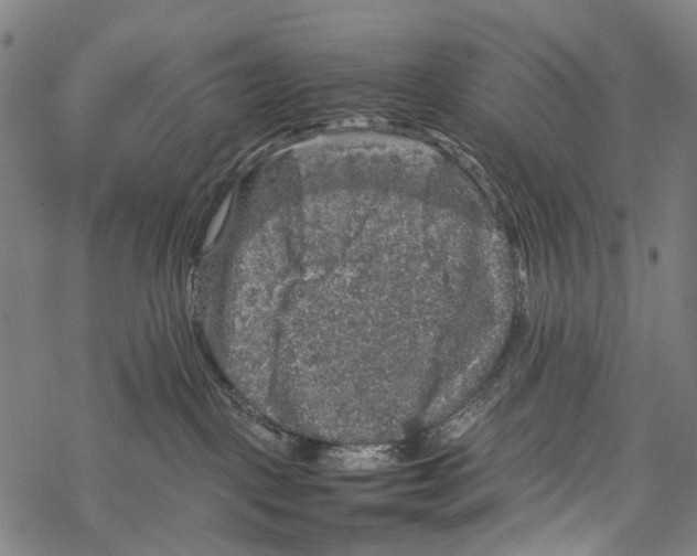 X0000067460093200605051633