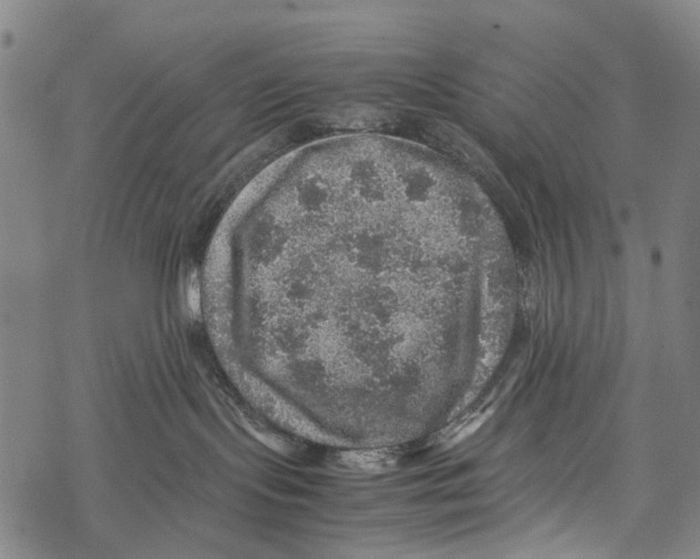 X0000067460095200605051633