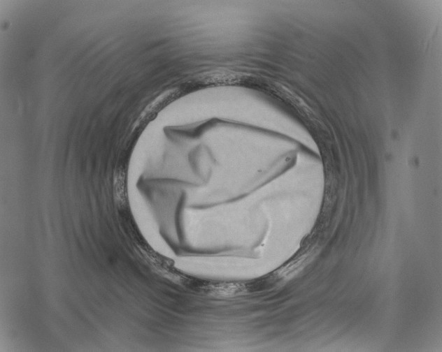 X0000067460096200605051633