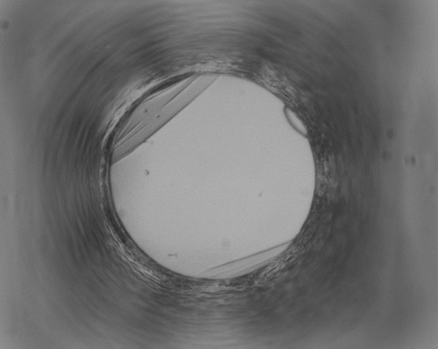 X0000067460098200605051632