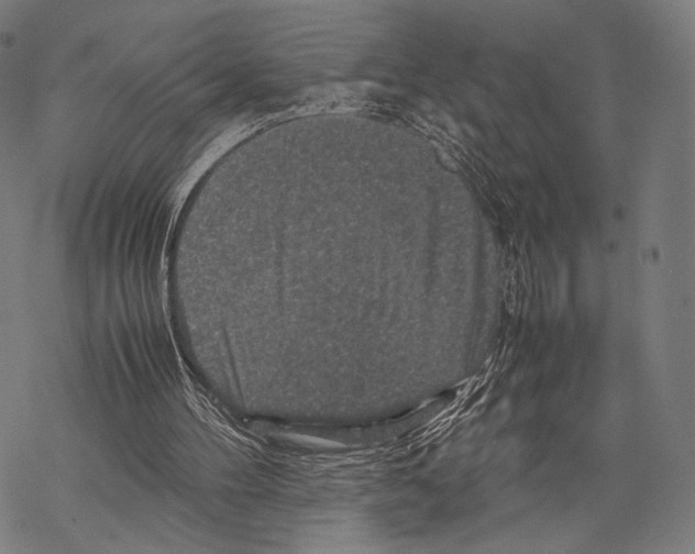 X0000067460100200605051632