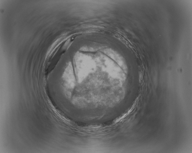 X0000067460101200605051632