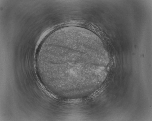 X0000067460102200605051632