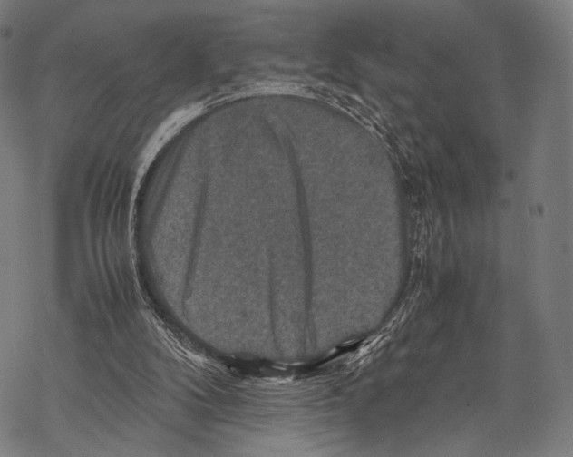 X0000067460104200605051632