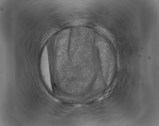 X0000067460105200605051632