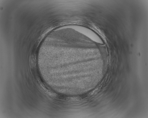 X0000067460107200605051632