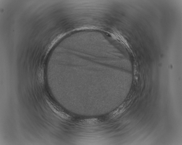 X0000067460108200605051632