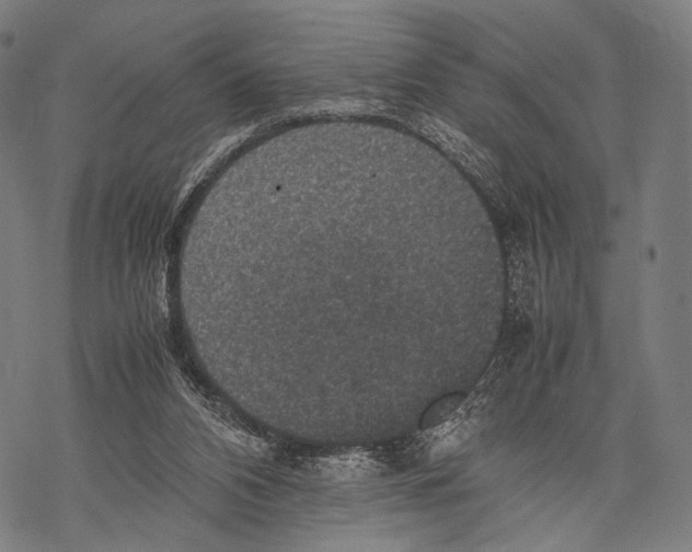 X0000067460112200605051632