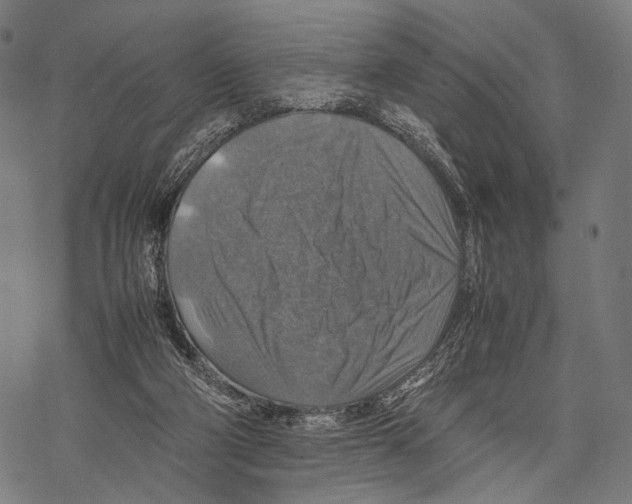 X0000067460114200605051632