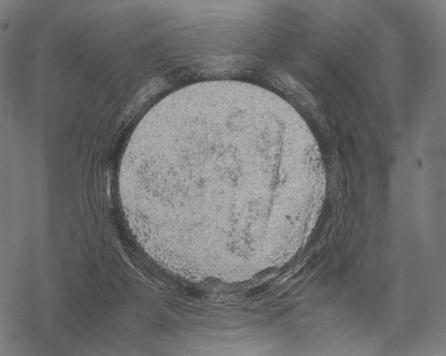 X0000067460115200605051632