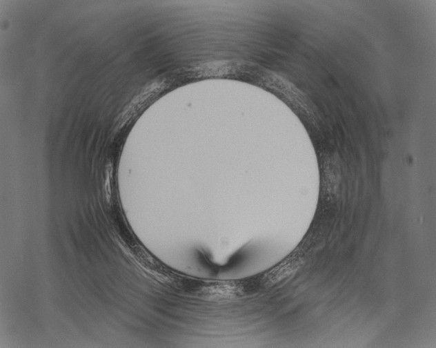 X0000067460118200605051632