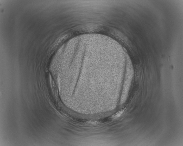 X0000067460119200605051632