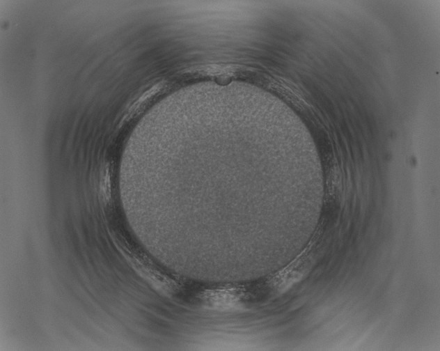 X0000067460120200605051631