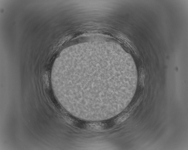 X0000067460121200605051631