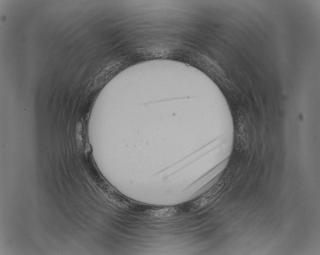 X0000067460122200605051631