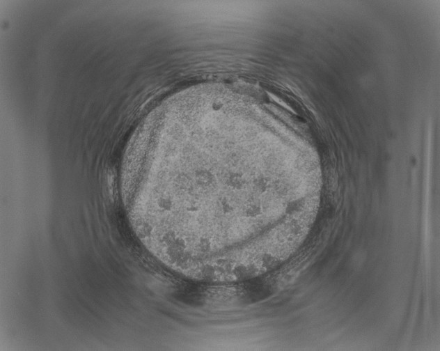 X0000067460123200605051631