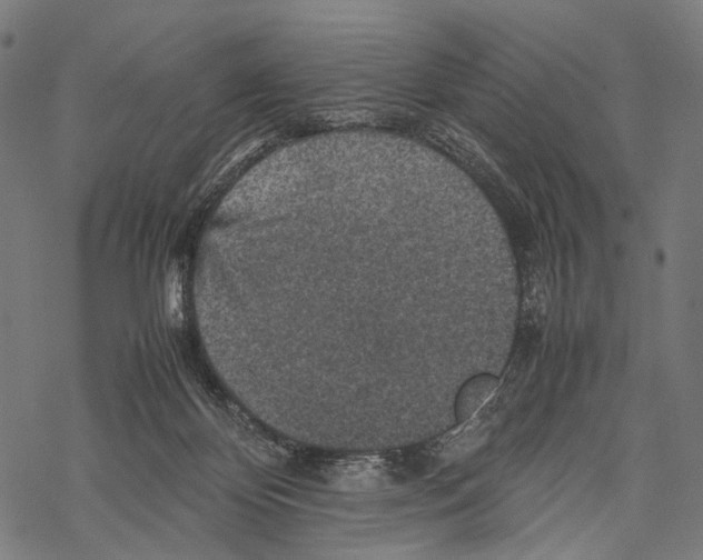 X0000067460124200605051631