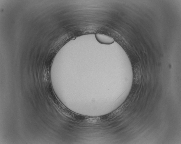 X0000067460126200605051631