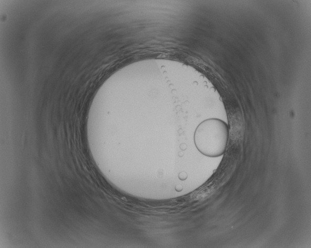 X0000067460127200605051631