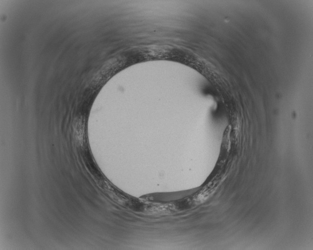 X0000067460129200605051631