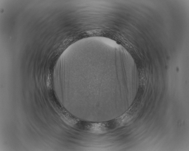 X0000067460130200605051631