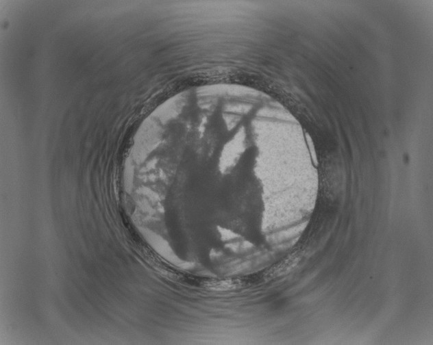 X0000067460131200605051631