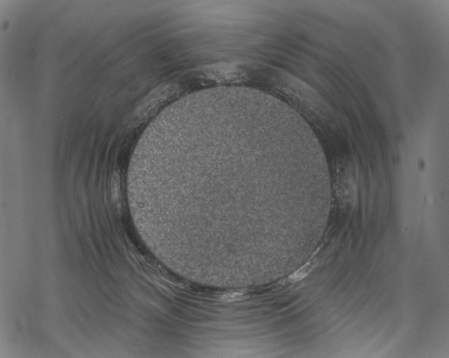 X0000067460132200605051631