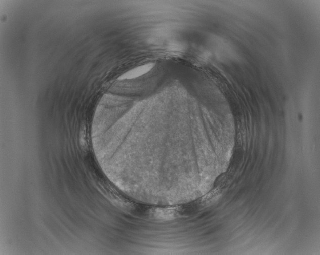 X0000067460134200605051631