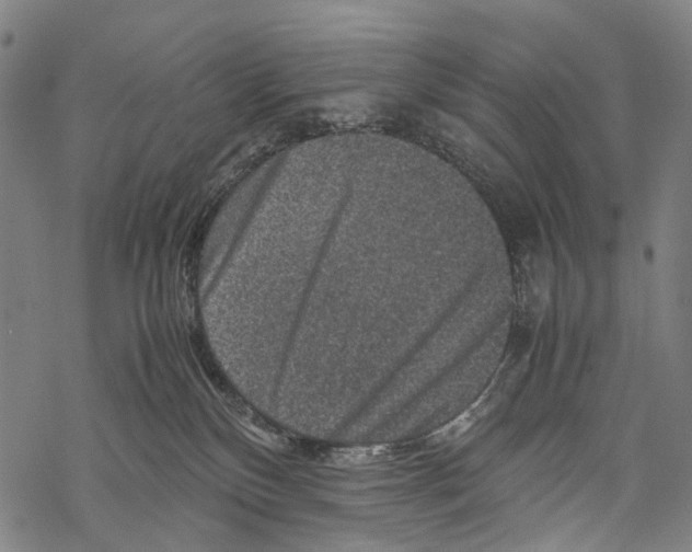 X0000067460136200605051631