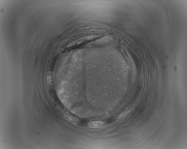 X0000067460137200605051631