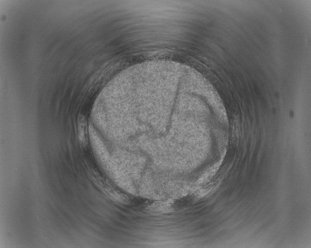 X0000067460138200605051631