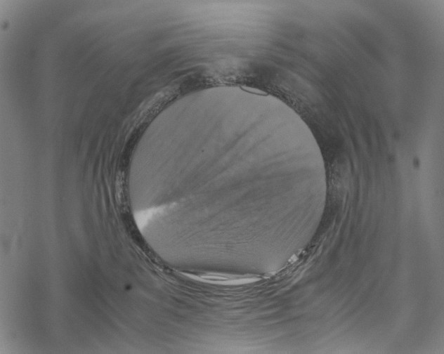 X0000067460139200605051631