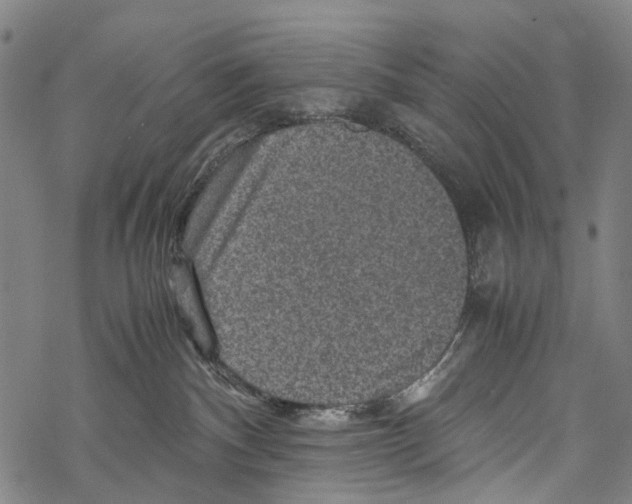 X0000067460140200605051631