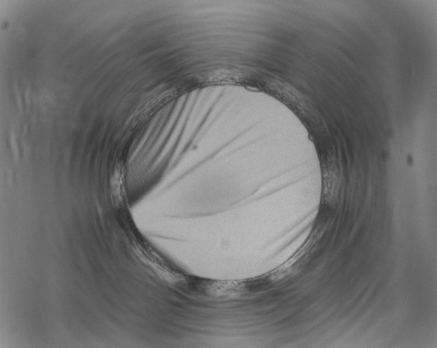 X0000067460142200605051631