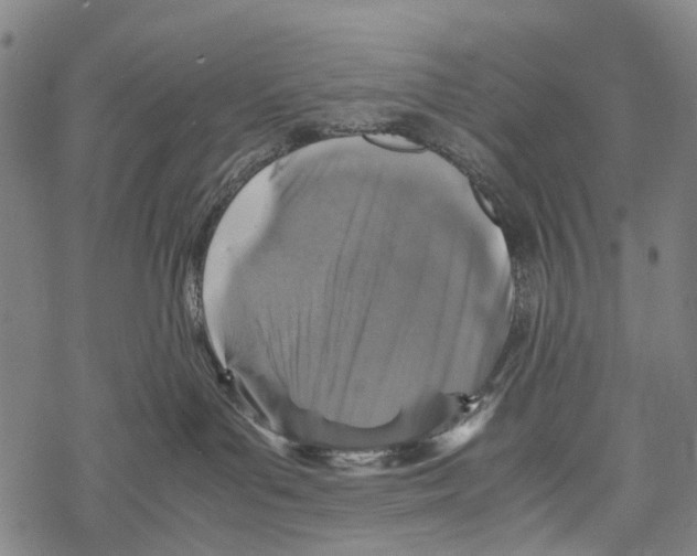 X0000067460143200605051631