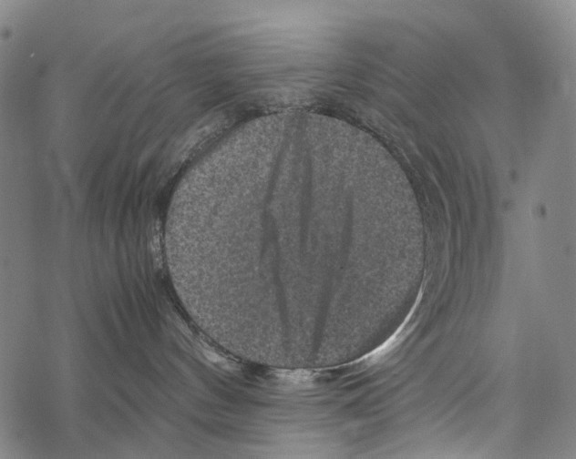 X0000067460144200605051631