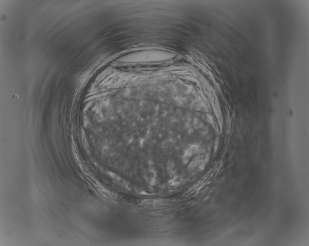 X0000067460145200605051630