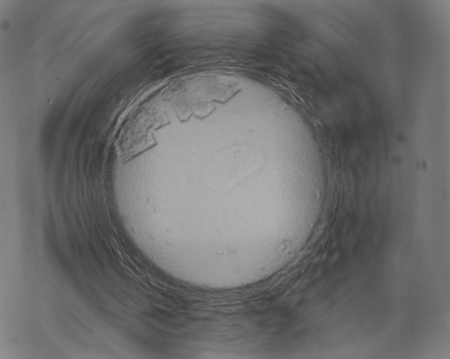 X0000067460146200605051630