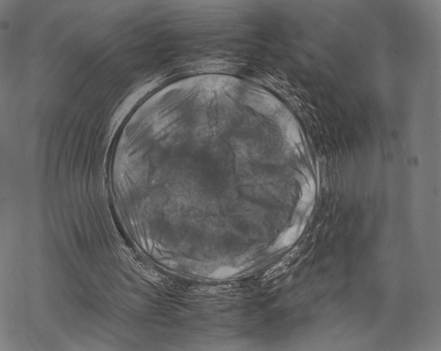 X0000067460147200605051630