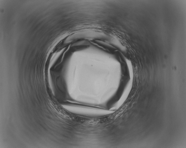 X0000067460148200605051630