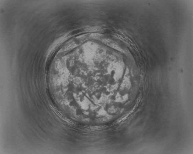 X0000067460149200605051630