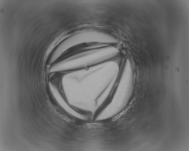 X0000067460150200605051630