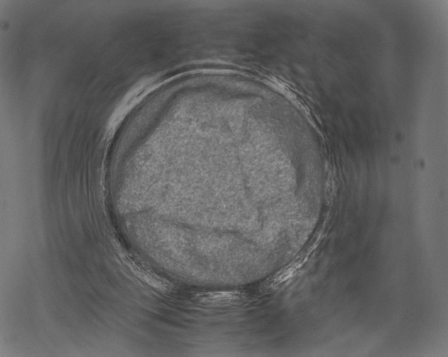 X0000067460151200605051630