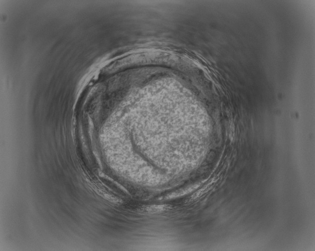 X0000067460152200605051630