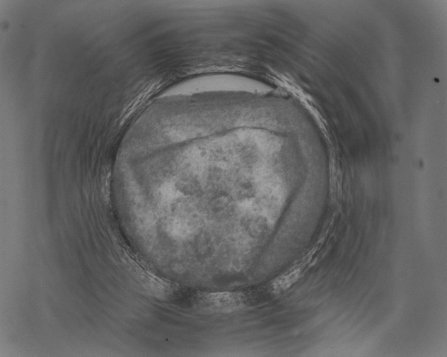 X0000067460153200605051630